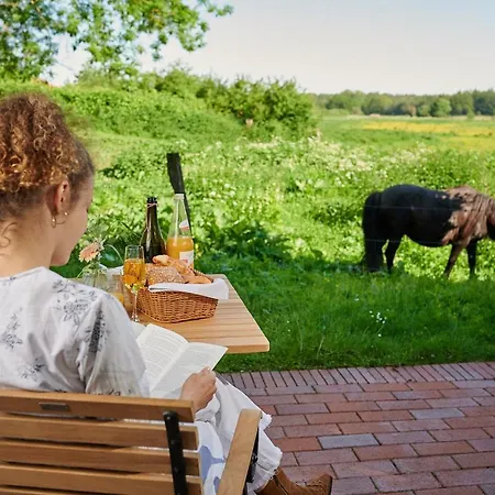 Schloss فندق فيزه